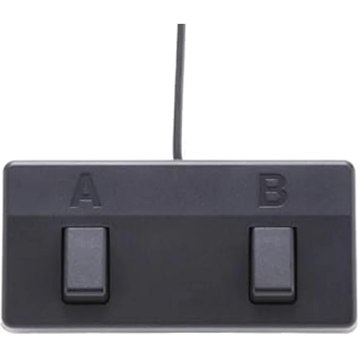Boss by Roland Acoustic Singer Live Verstärker (Anzahl Kanäle: 2) 60 Watt Bi-Amp Design, Chorus- und Delay-Effekte – Bild 5