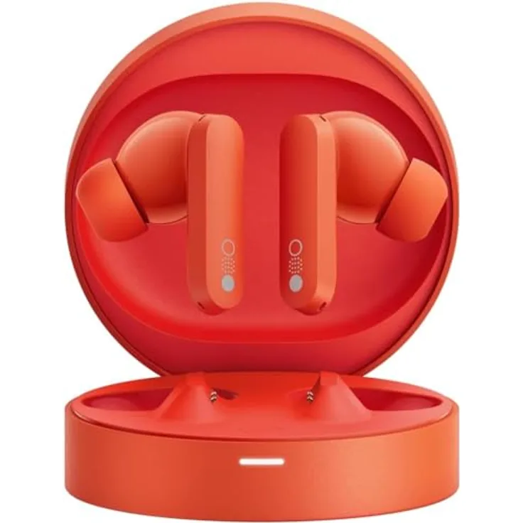 Rot
