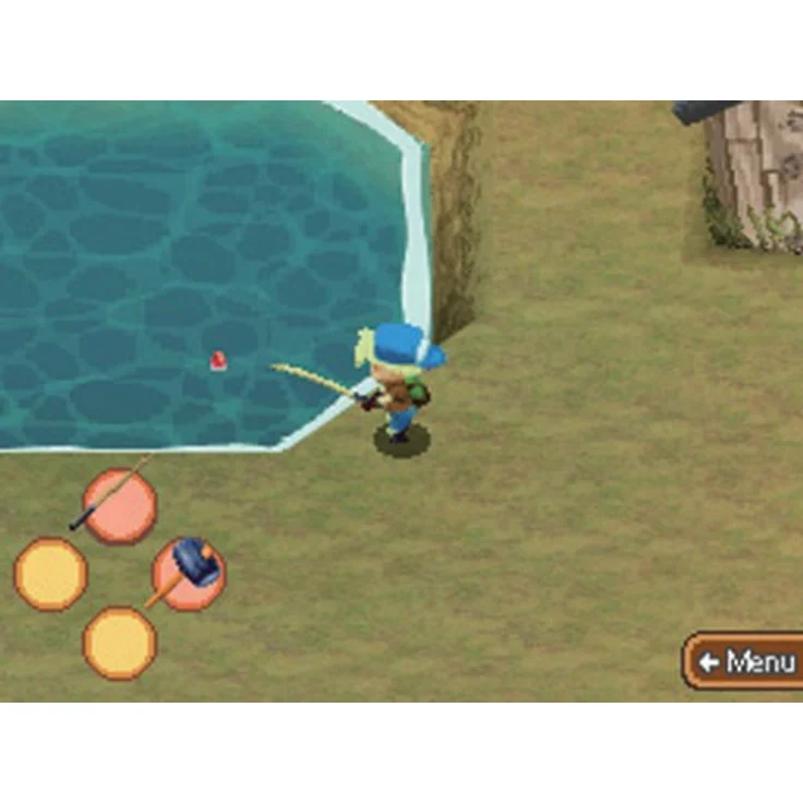 Harvest Moon (DS) – Bild 9