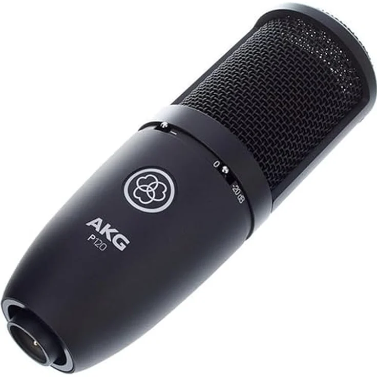 AKG P120 Studio-Kondensator-Aufnahmemikrofon – Bild 9