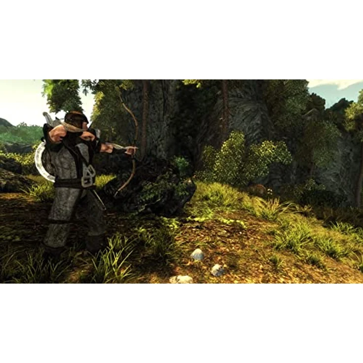 Risen (Nintendo Switch) – Bild 3
