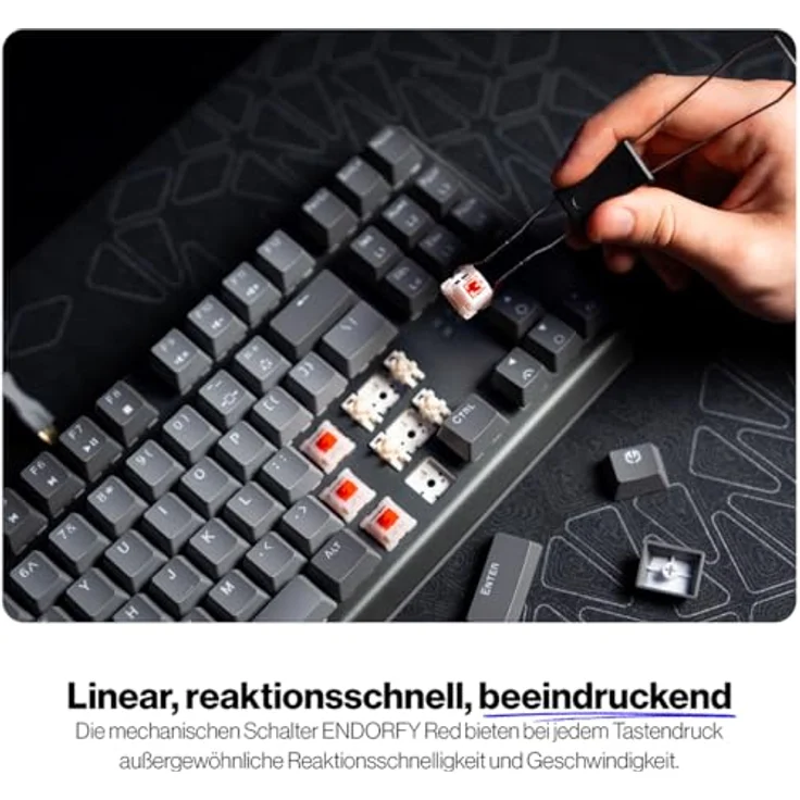 Endorfy Thock V2 TKL, Mechanische Gaming-Tastatur mit USB, ARGB Beleuchtung, kabelgebunden, US Layout – Bild 4