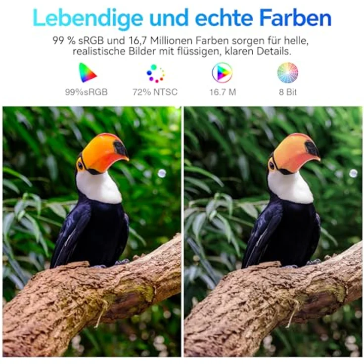 KOORUI E2411K 24 Zoll Monitor, 144Hz FHD IPS Bildschirm, 99% sRGB, Adaptive Sync, VESA 100x100mm, Augenfreundlich – Bild 3