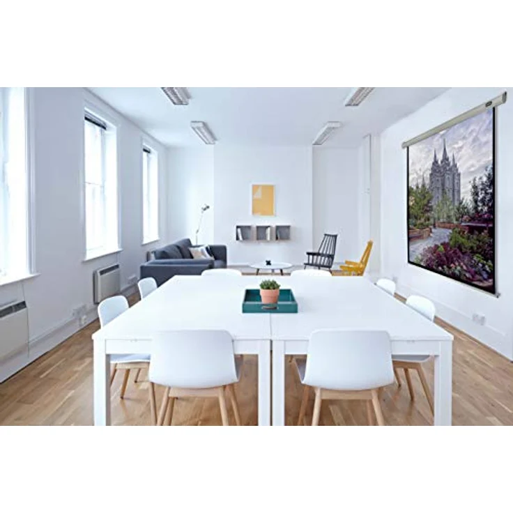 Celexon Leinwand Rollo Economy 240 x 135 cm – Bild 5
