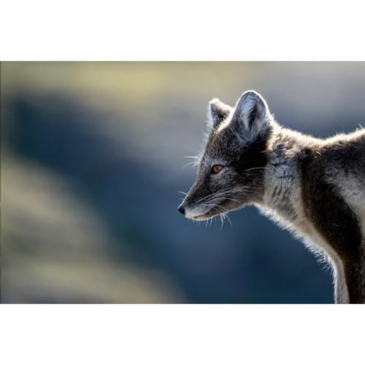 TAMRON 150-500mm F/5-6.7 Di III VC VXD – Bild 3