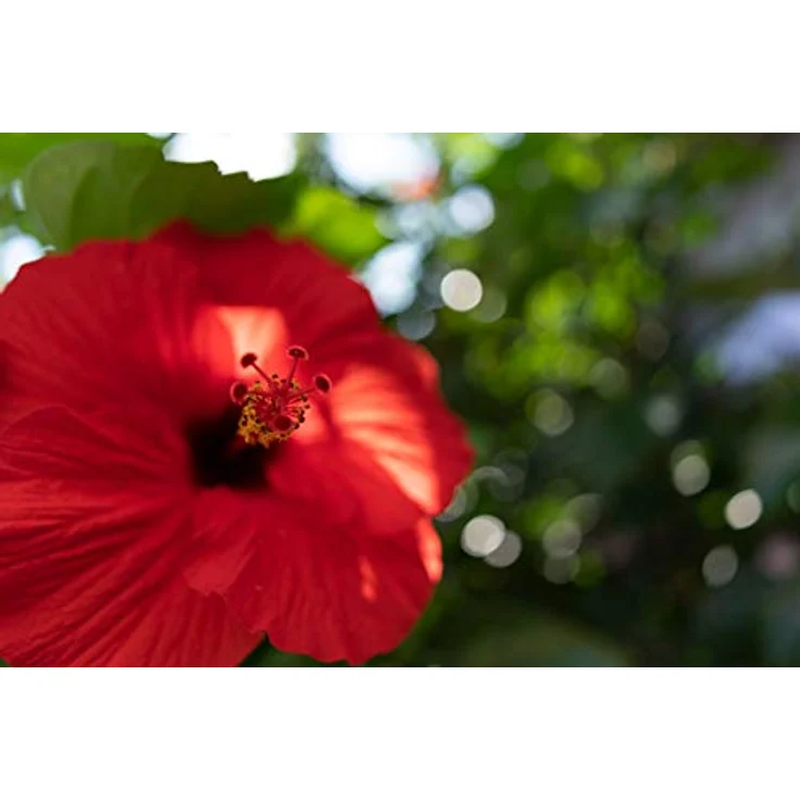 Tamron 24mm F-2.8 Di III OSD M 1:2 Sony-FE F051 – Bild 4