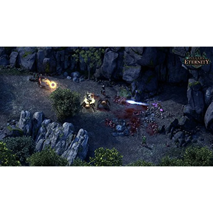 Pillars of Eternity (Sonderedition) (PC) – Bild 4