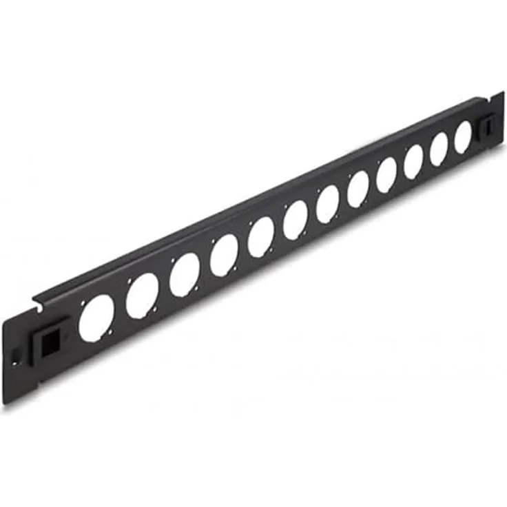 Delock 19'' D-Typ Patchpanel 12 Port werkzeugfrei schwarz