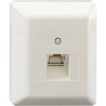 Rutenbeck Netzwerkdose UAE-Anschlussdose Aufputz, 1 Port, 8-polig, reinweiß (ähnlich RAL 9010)