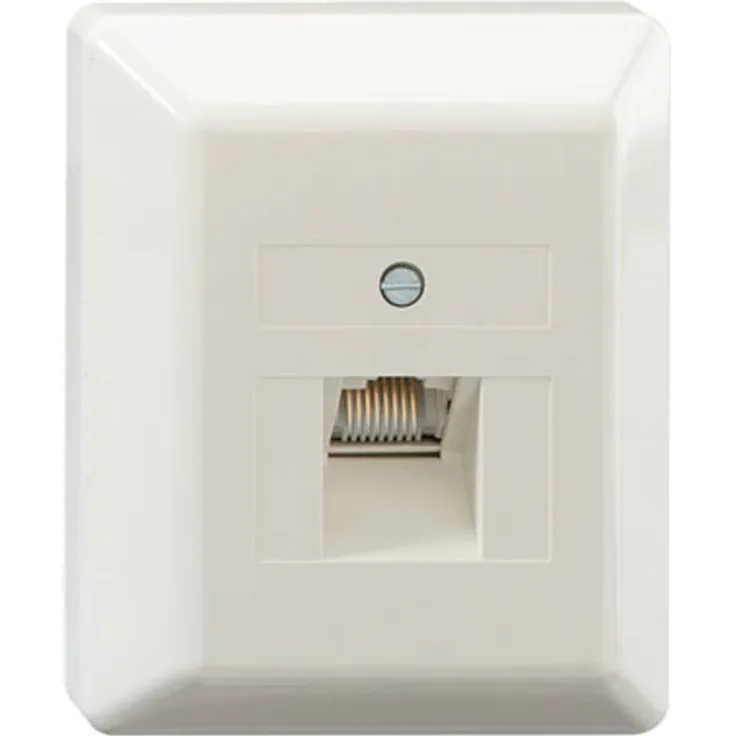 Rutenbeck Netzwerkdose UAE-Anschlussdose Aufputz, 1 Port, 8-polig, reinweiß (ähnlich RAL 9010)