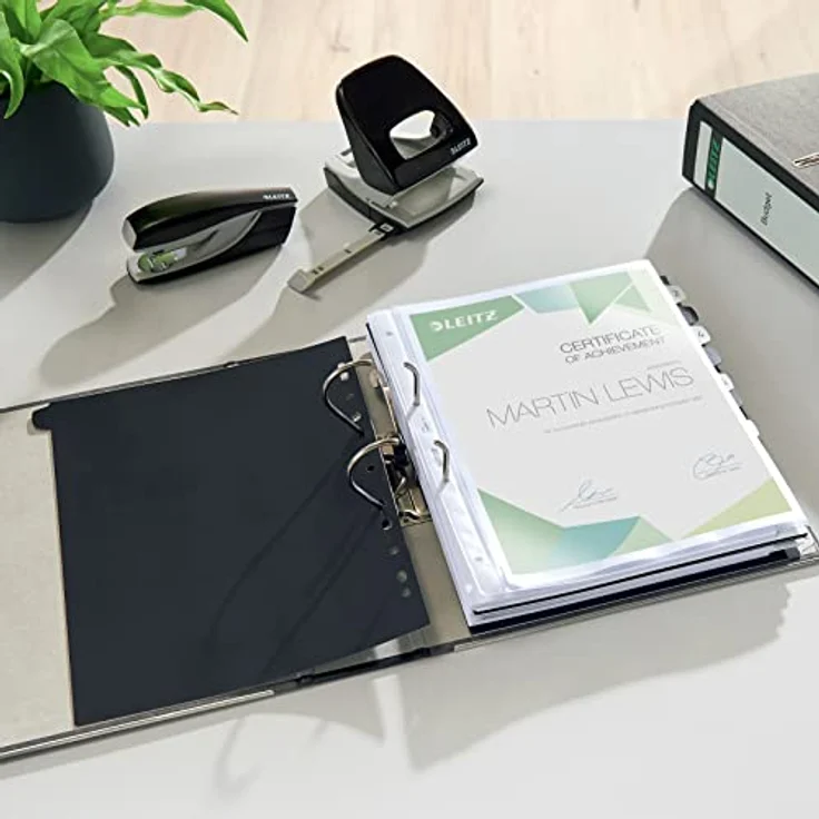 Leitz 1080-50-85 Ordner, A4, breit, Karton, grau – Bild 6