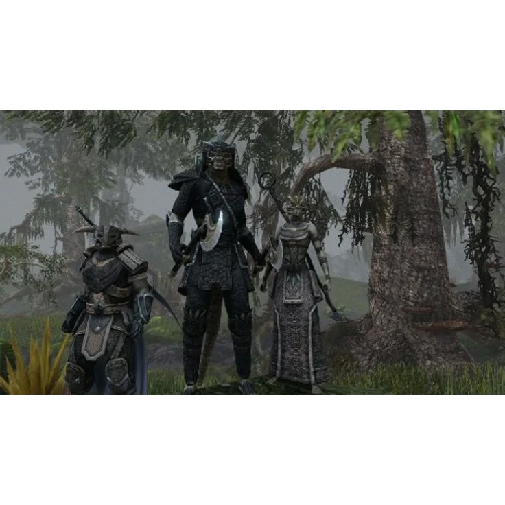 The Elder Scrolls Online (PC, Mac) – Bild 2