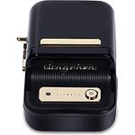 NIIMBOT B21 Tragbarer Etikettendrucker, Schwarz