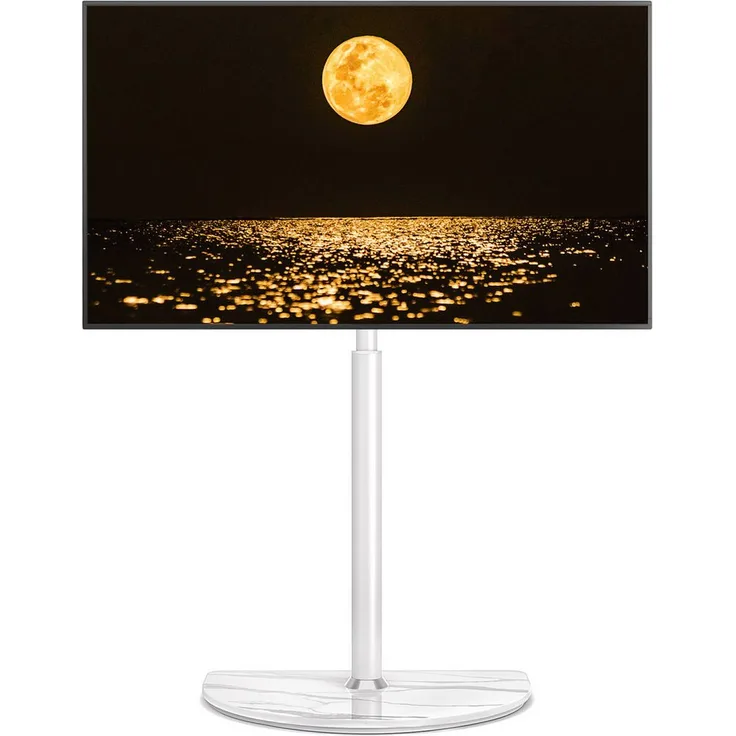 Rfiver TV-Bodenständer für 32-65 Zoll Fernseher, schwenkbar ± 25 Grad, höhenverstellbar, weiß, bis 40 kg, VESA-kompatibel