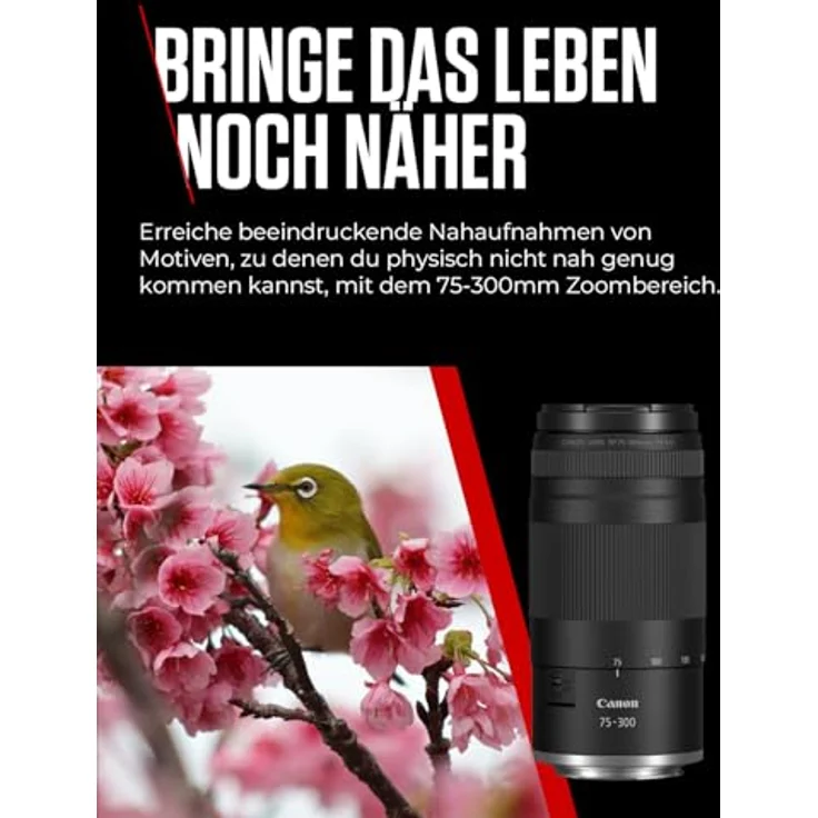 Canon RF 75-300mm F4-5.6, Telezoomobjektiv mit leichter Bauweise für Sport- und Naturaufnahmen – Bild 3