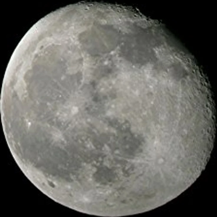 Bresser Full HD (1080p) USB 2.0 Mikroskop Teleskop Kamera mit integriertem UV-IR Sperrfilter und verschiedenen Adaptern für Mikroskope und Teleskope inklusive Software und Anleitung – Bild 5