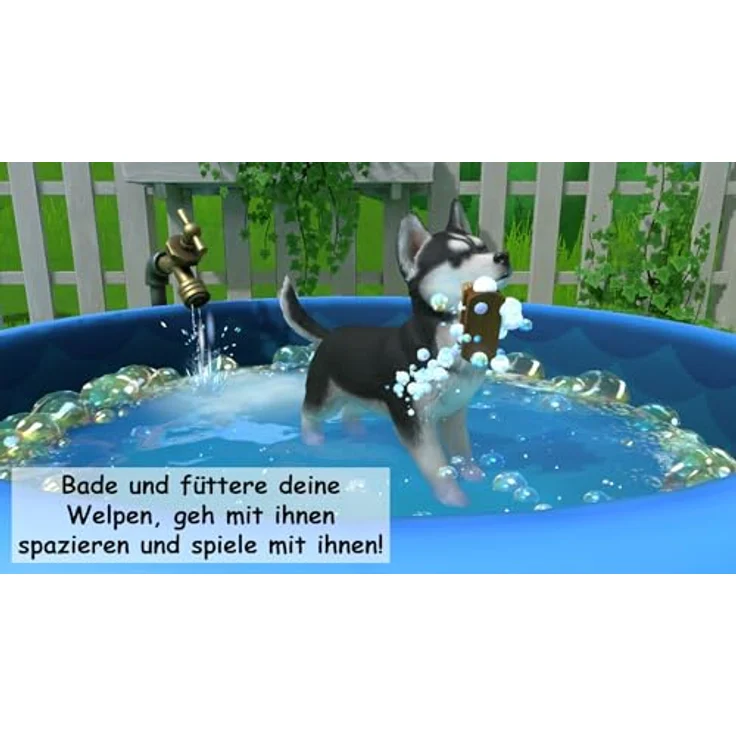 Fireshine Games Little Friends 2: Puppy Island - Abenteuer für Nintendo Switch, Code in a box, neues Welpenparadies mit 9 Rassen, 350+ Outfits – Bild 5