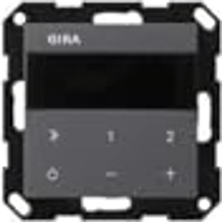 Gira 232028 UP-Radio IP System 55 Anthra, Radio, Grau