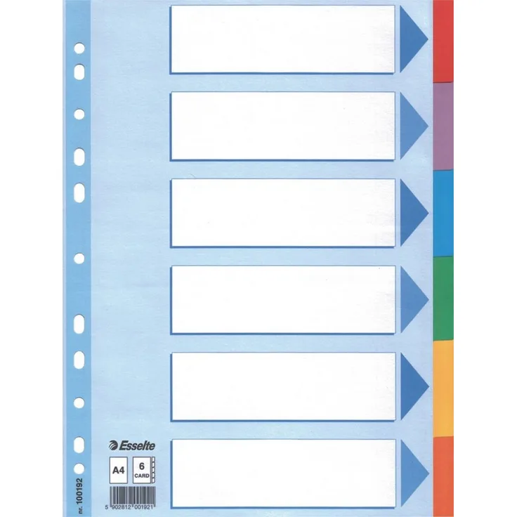 ESSELTE Aktenordner, Kartonregister Standard Blanko, A4, weiss