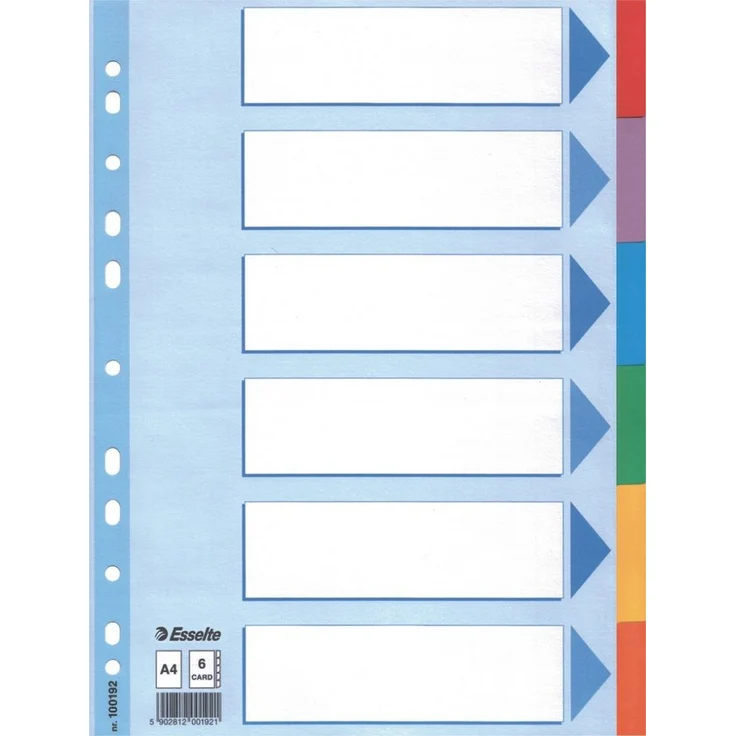 ESSELTE Aktenordner, Kartonregister Standard Blanko, A4, weiss