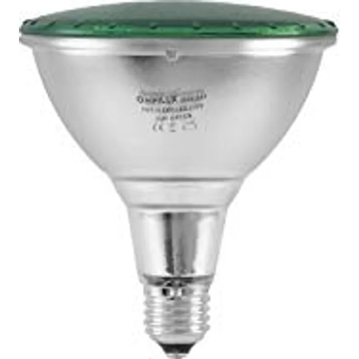 OMNILUX PAR-38 230V SMD 15W E-27 LED grün | PAR-38 Lampe