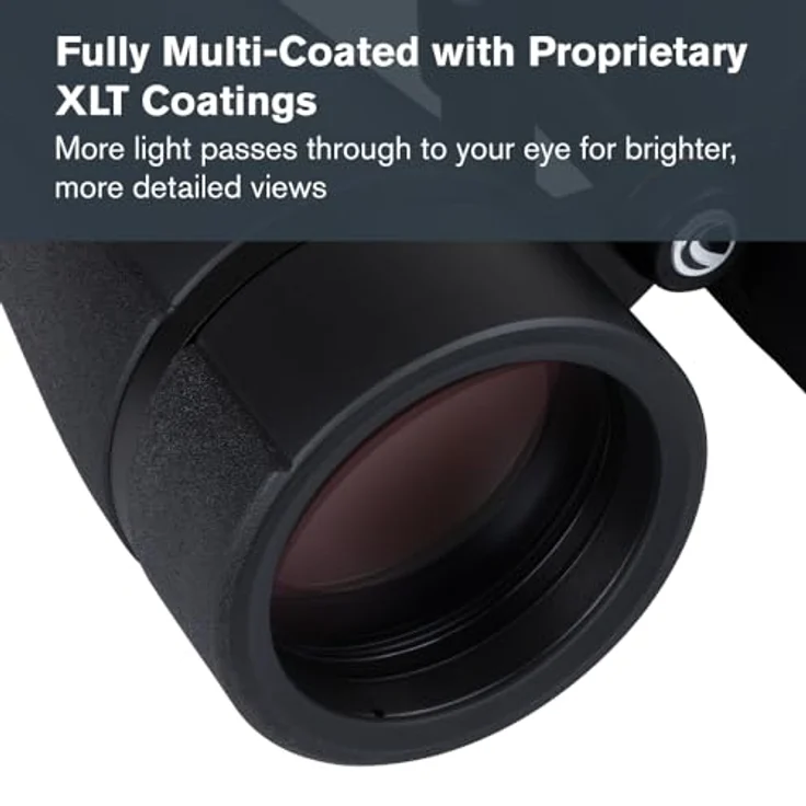 Celestron 72035 SkyMaster Pro ED 20x80 Astronomie-Fernglas mit ED-Glas und großer Blende, XLT-Beschichtung, Stativadapter und Tragekoffer – Bild 3