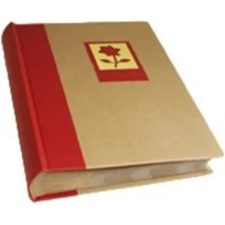 Dörr EinsteckAlbum 300x10x15 mit Negativhüllen sol. Vorrat reicht