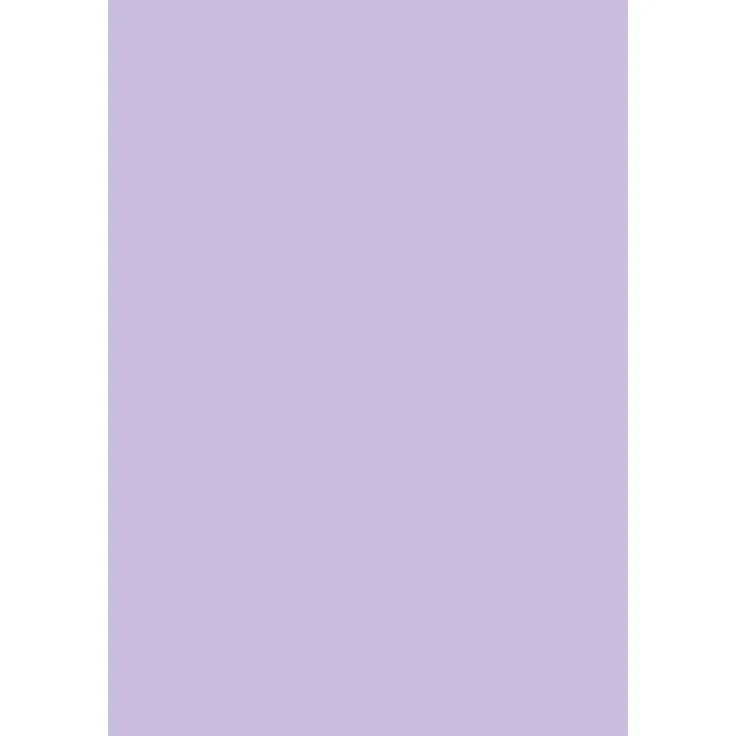 Brunnen 105122560 Universalpapier, A4, 25 Blatt, 160 g-m², flieder