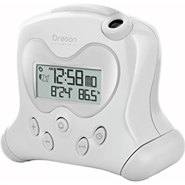 Oregon Scientific RM 313 P OS weiß
