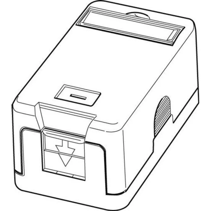 Abn Bestückungspaket BP110 Cat.6A Modul 180Grad, weiß, 5x7 cm