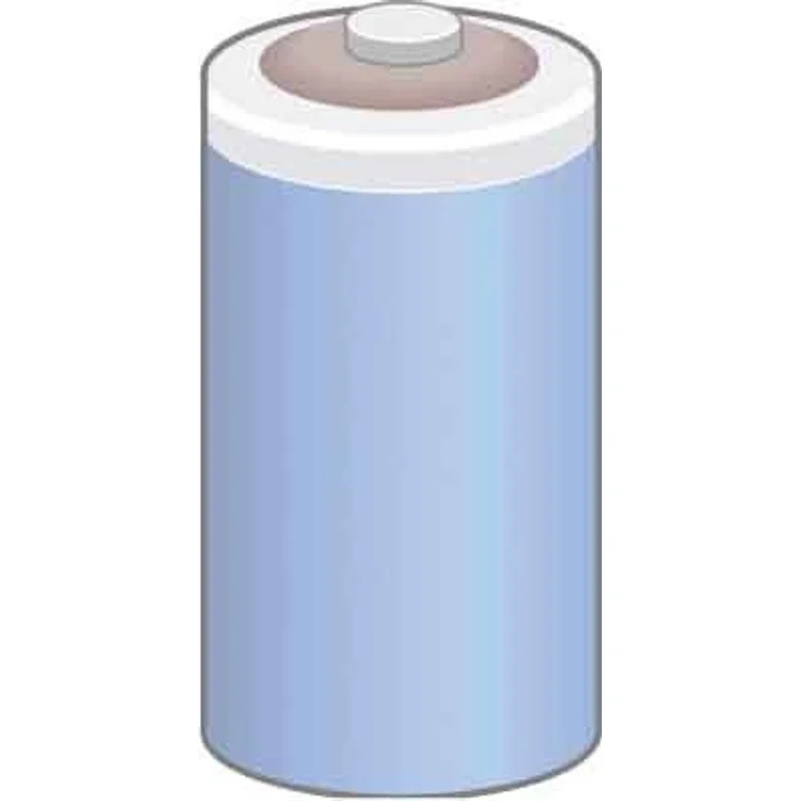 Eaton 256209 Batterie für Modularsteuerung x C100-200