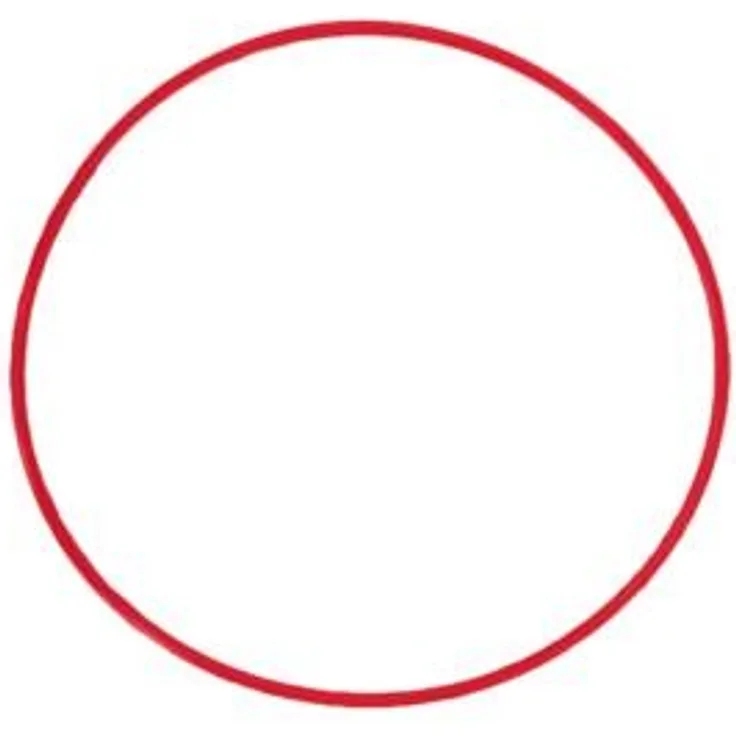 Olympus POL-EP13 O-Ring für PT-EP13