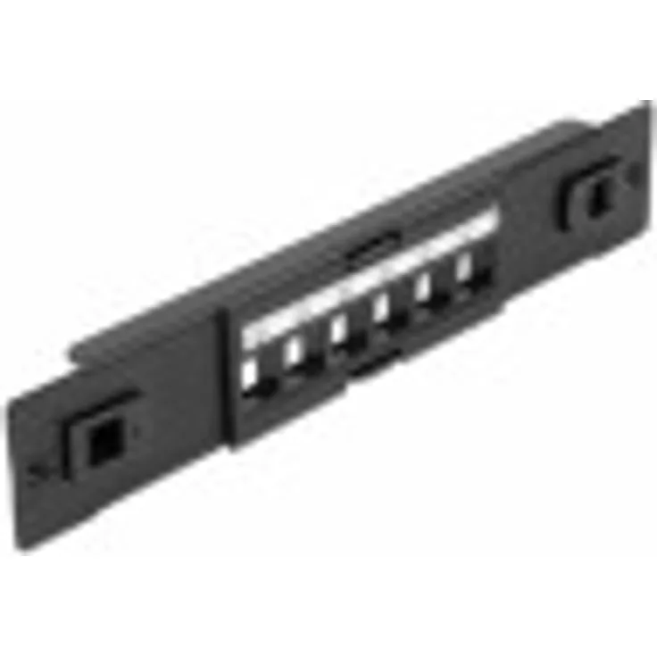 Delock 10'' Keystone Patchpanel 6 Port werkzeugfrei