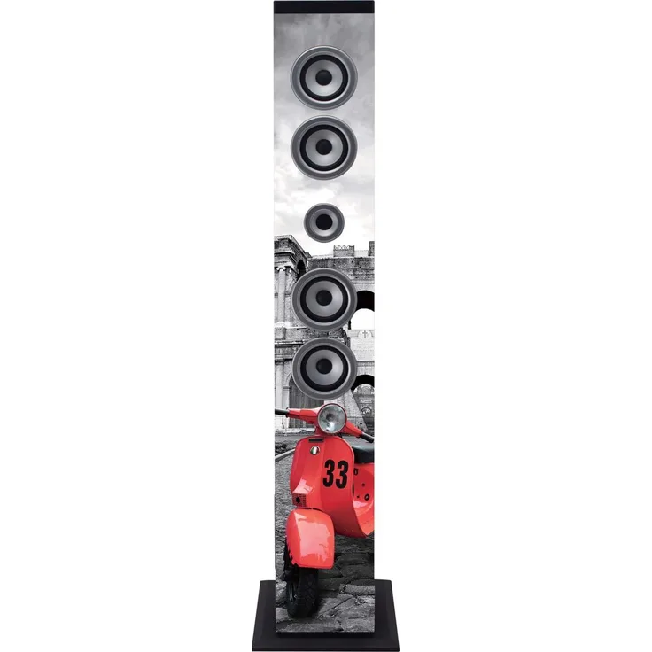 iCes IBT-6 Bluetooth-Standlautsprecher, 40 Watt Musikleistung (UKW-Radio, USB, SD-Kartenleser, AUX), Fernbedienung