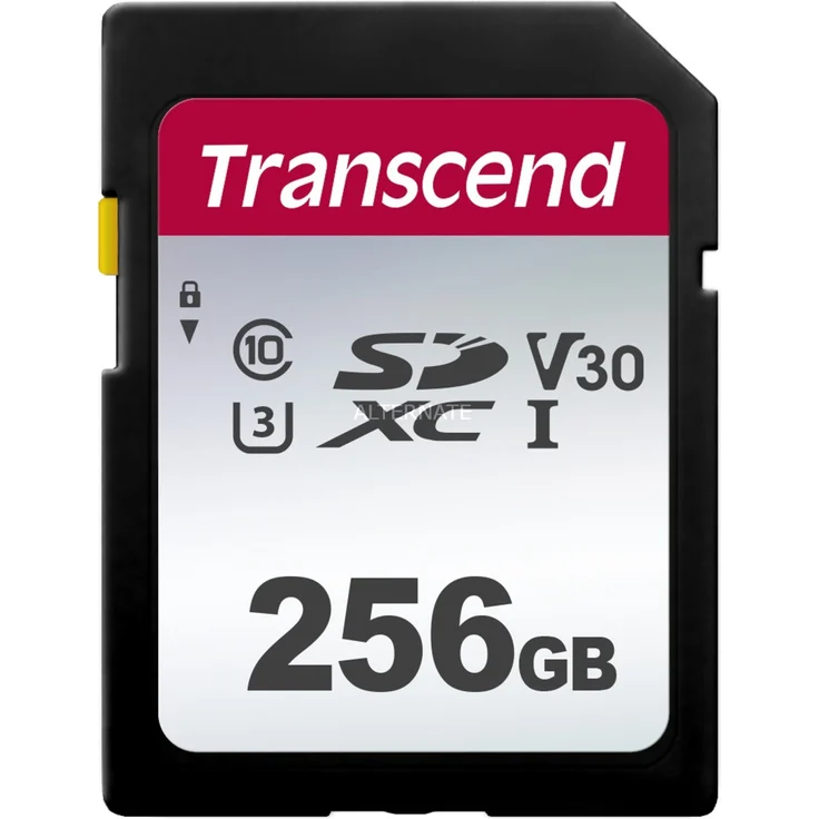 Transcend 256GB SDXC-SDHC 300S Speicherkarte TS256GSDC300S - bis zu 95 MBs lesen und 40 MBs schreiben – Bild 1