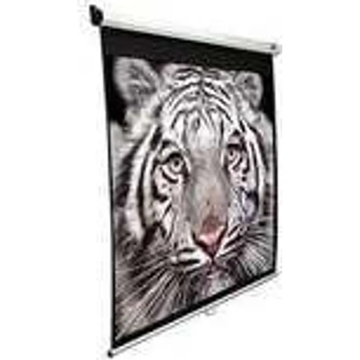 Elite Screens Rollo 16:9 298*168cm Manual weiß