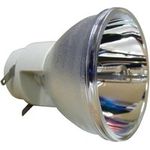 OSRAM P-VIP 190-0.8 E20.8 Ersatzlampe ohne Gehäuse