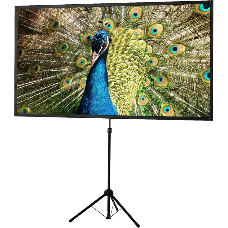 Celexon Leinwände Stativleinwand Ultra-lightweight 177 x 100cm – Bild 1