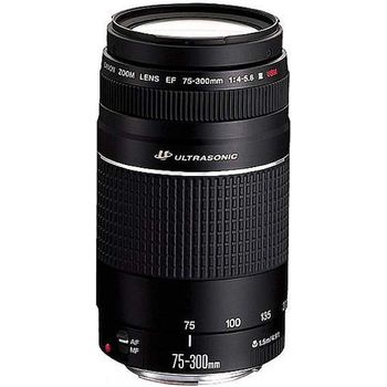 Canon Ef 75 300 Mm F 4 0 5 6 Iii Usm Tests Infos Preisvergleich Testsieger De