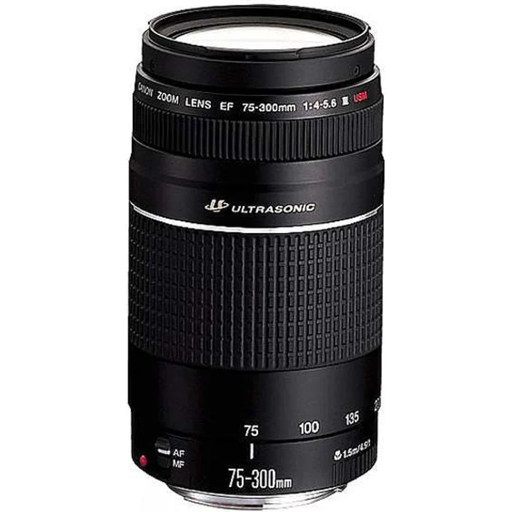 Canon EF 75-300 mm, f/4,0-5,6 III USM – Bild 1