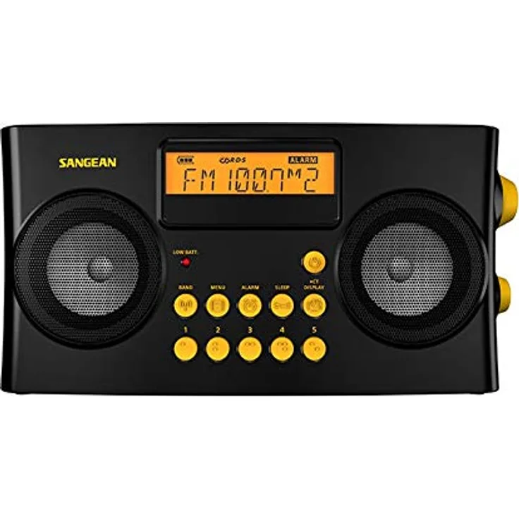 Sangean PR-D17 - Radio für Sehbehinderte - Tasten mit Braille-Prägung - Große Regler und Tasten - Sprachanweisungen - Senderspeicher - Alarmfunktion - Schwarz