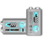Ansmann NI-MH 250 MAH E-BL 6 F22