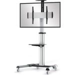 conecto LM-FS02G Pro TV Ständer Standfuß rollbar Universal für Monitor Fernseher LCD LED Plasma mobil mit Rollen höhenverstellbar schwenkbar drehbar 37-70 Zoll (94-178cm) VESA 200x200-600x400mm Alu