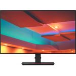 Lenovo ThinkVision P27h-10 - 27 Zoll, QHD (2560 x 1440), IPS-Panel, 60Hz, 4ms, 350cd/m²
