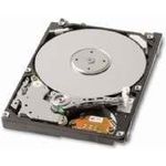 Toshiba/KIOXIA MK3276GSX 320 GB