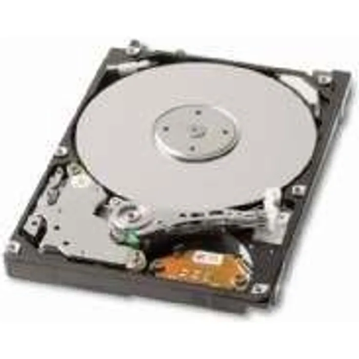 Toshiba/KIOXIA MK3276GSX 320 GB