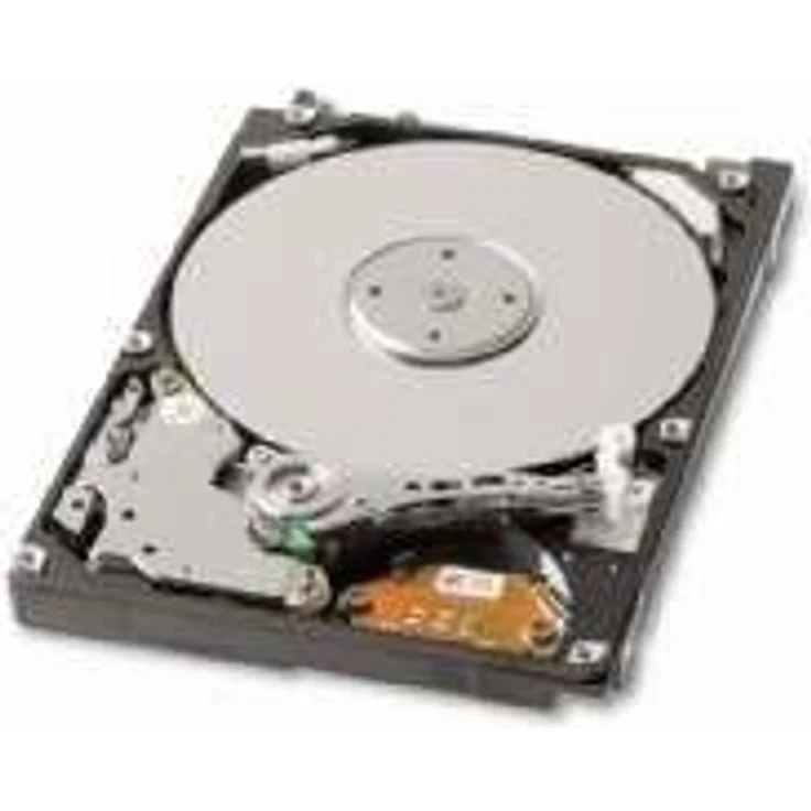 Toshiba/KIOXIA MK3276GSX 320 GB