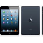 Apple iPad mini WiFi 16 GB schwarz