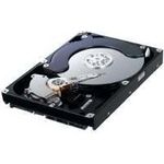 Samsung HD103UJ Spinpoint F1 1 TB