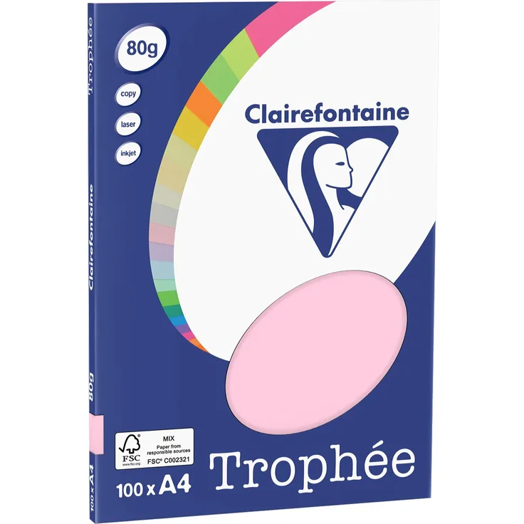 Papier A4 PPP 80g Rosa 100Bl